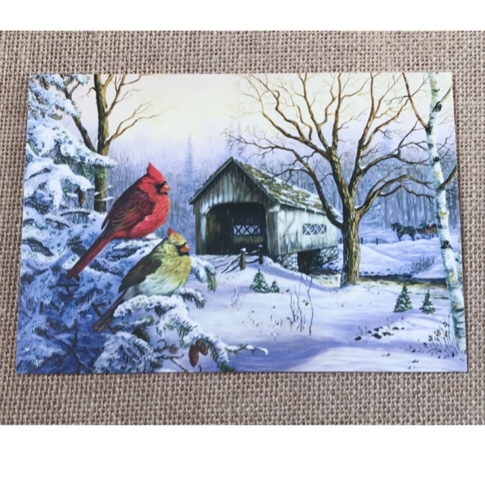 Terry Doughty Snowy Haven Winter Birds Covered Bridge Christmas Card Framable
